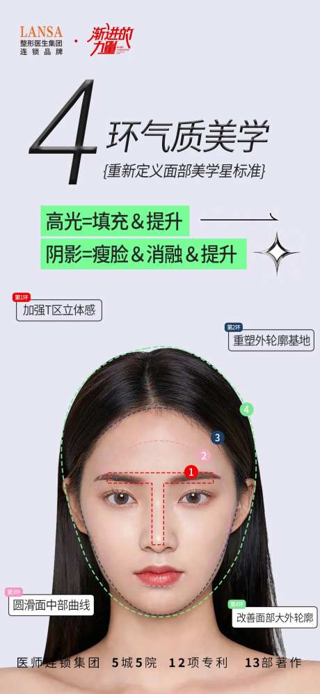 面部骨学-采灵感-https://www.cailinggan.com/