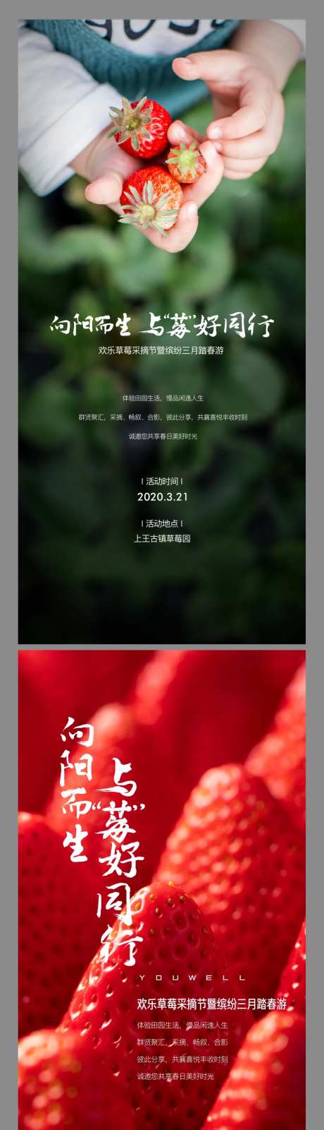 草莓采摘活动预告海报-采灵感-https://www.cailinggan.com/