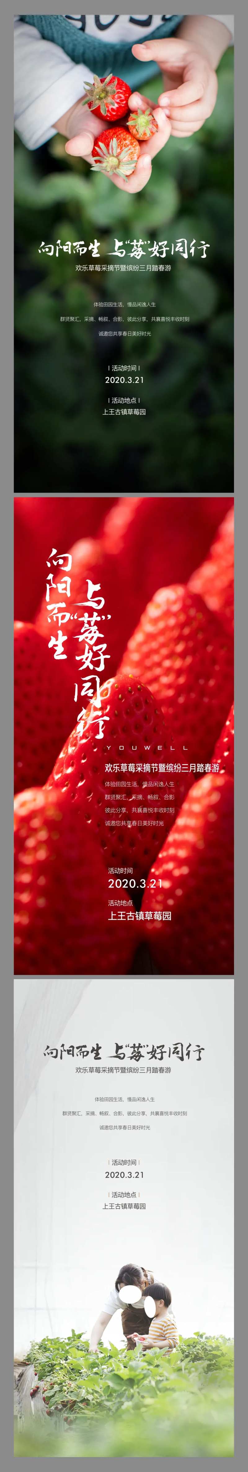 草莓采摘活动预告海报-采灵感-cailinggan.com