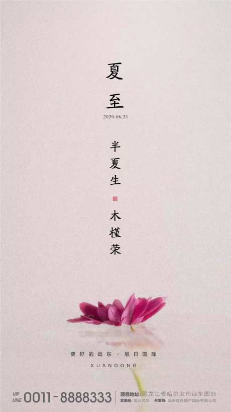 夏至海报-采灵感-https://www.cailinggan.com/