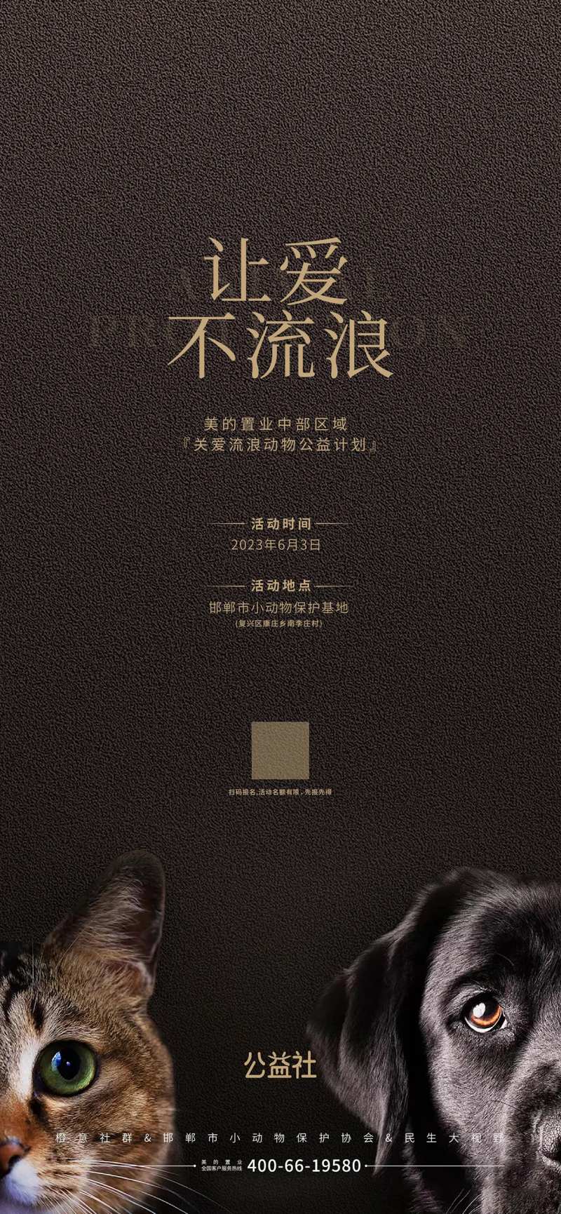 流浪狗流浪猫保护动物公益海报-采灵感-cailinggan.com