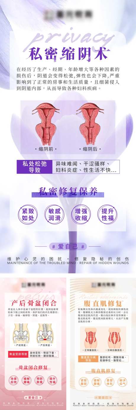 医美私密产后骨盆腹直肌修复缩阴术海报-采灵感-https://www.cailinggan.com/