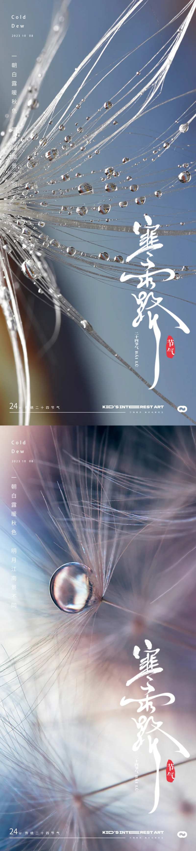 寒露24节气水珠海报-采灵感-cailinggan.com