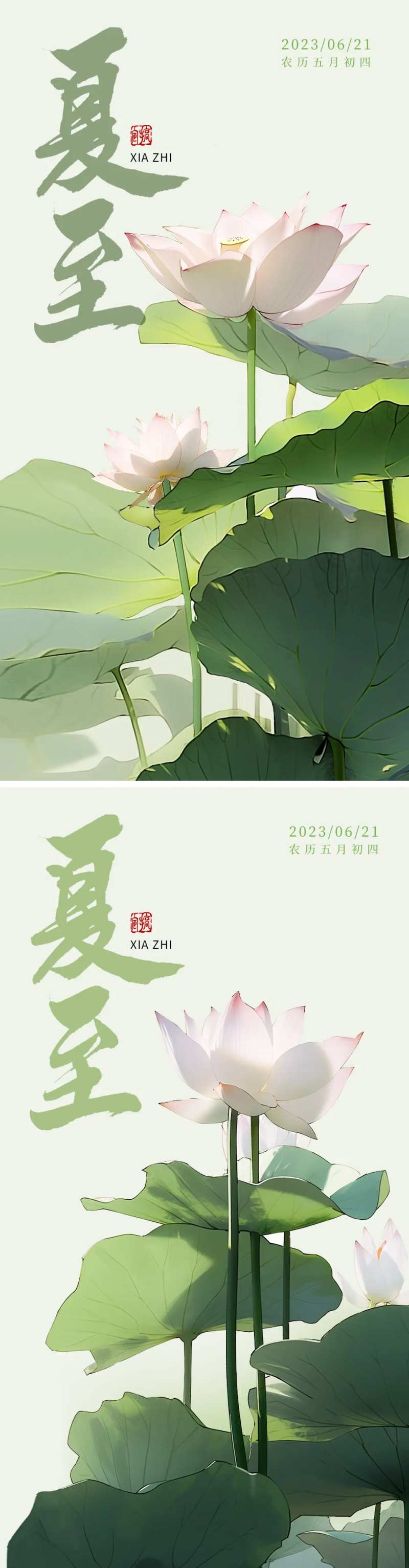 二十四节气夏至闪屏海报-采灵感-cailinggan.com