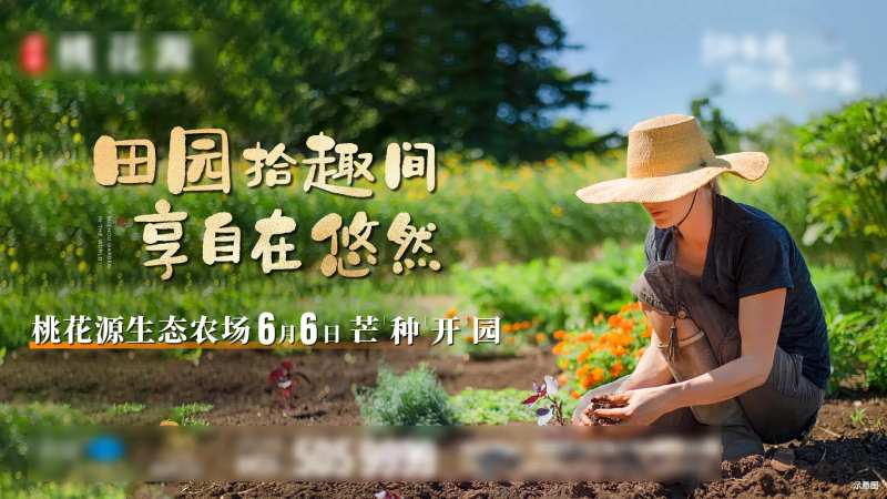 农场活动背景板-采灵感-cailinggan.com