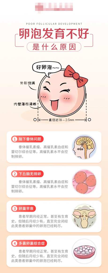 卵泡发育不好的原因是什么-采灵感-https://www.cailinggan.com/