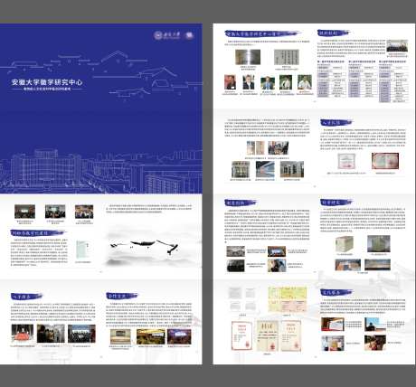 学院文化介绍四折页-采灵感-https://www.cailinggan.com/