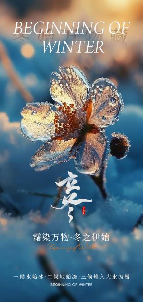 立冬节气海报-采灵感-cailinggan.com