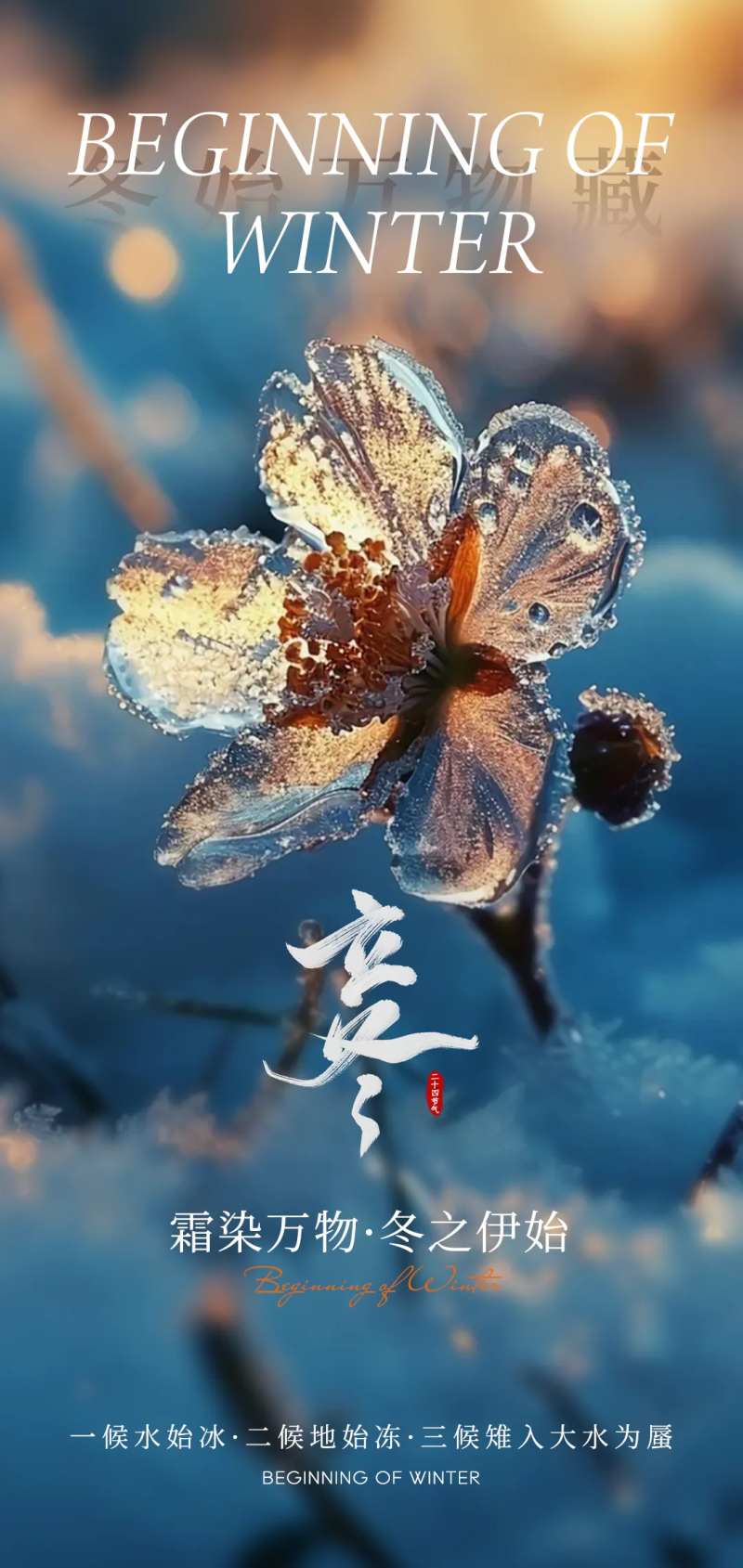 立冬节气海报-采灵感-cailinggan.com