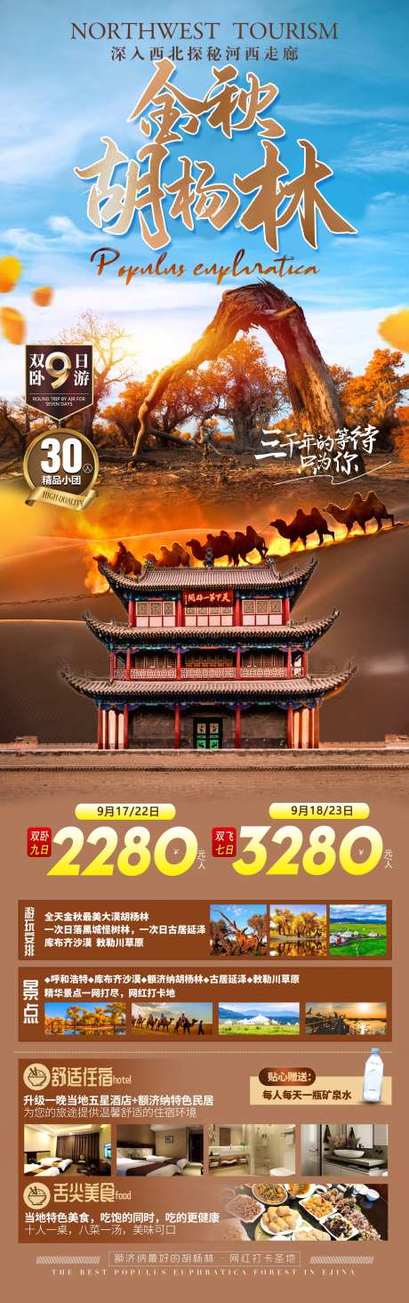 西北旅游青海甘肃宁夏胡杨长图海报-采灵感-https://www.cailinggan.com/