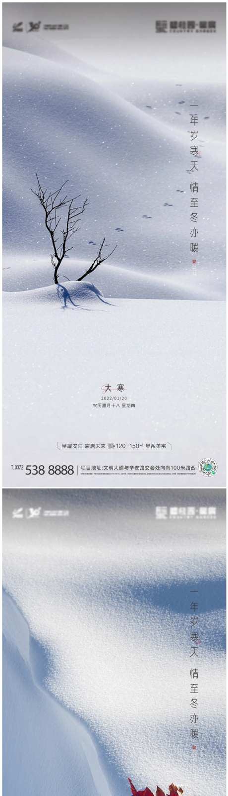 大寒节气海报-采灵感-https://www.cailinggan.com/