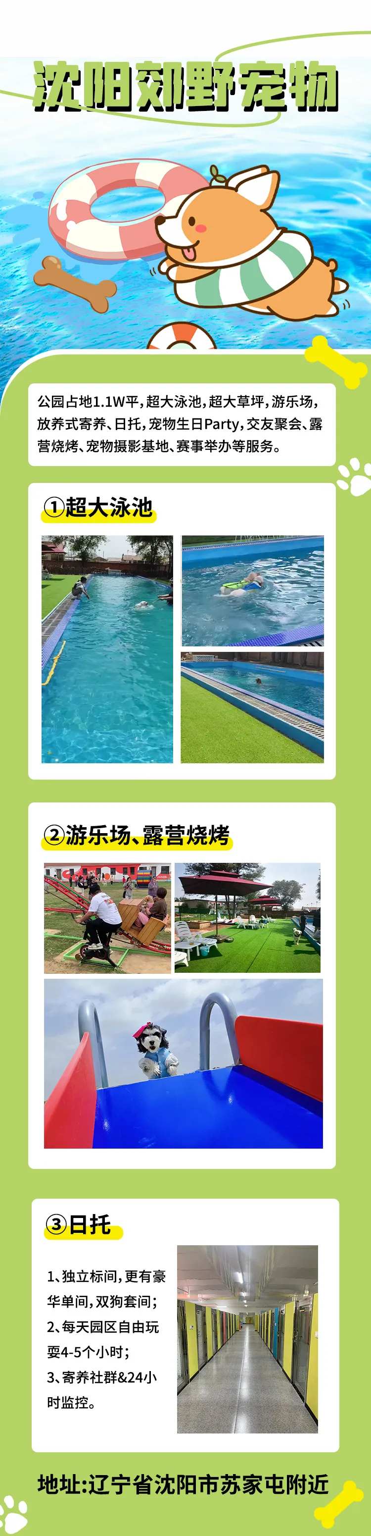 宠物娱乐活动长图-采灵感-cailinggan.com