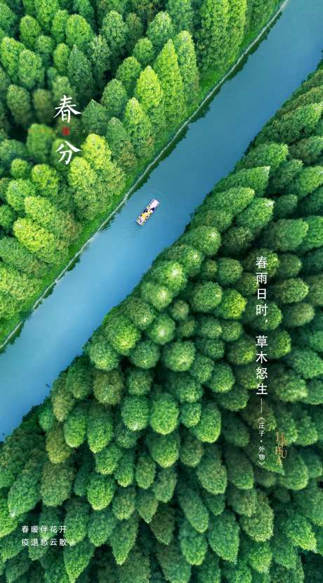 春分节气海报-采灵感-https://www.cailinggan.com/
