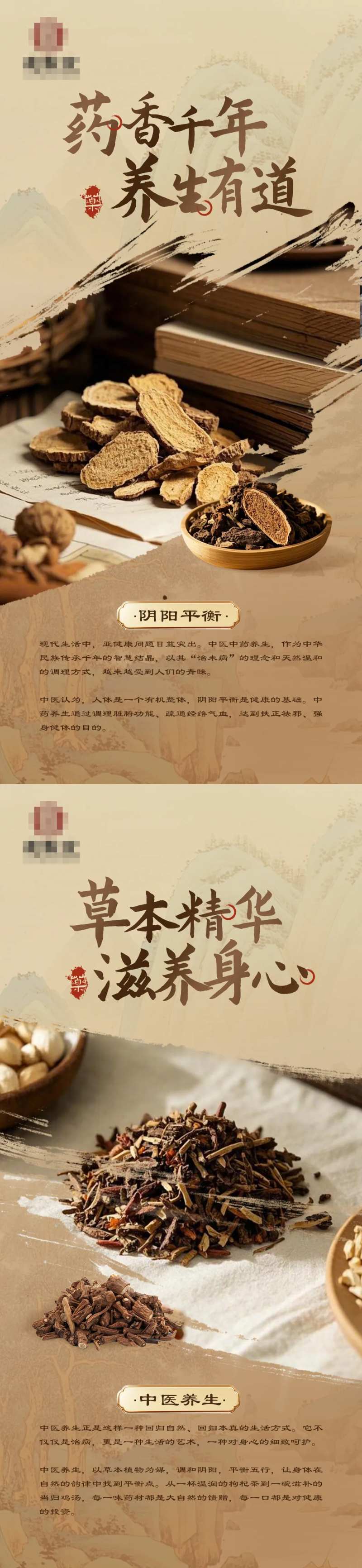 中式中医药养生系列海报-采灵感-cailinggan.com