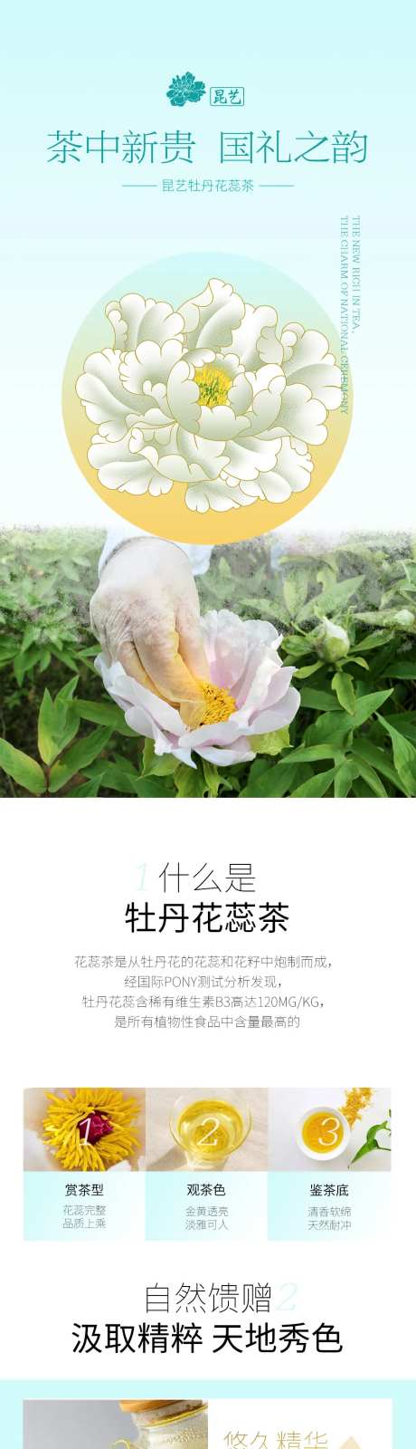 健康食品花茶详情页-采灵感-https://www.cailinggan.com/
