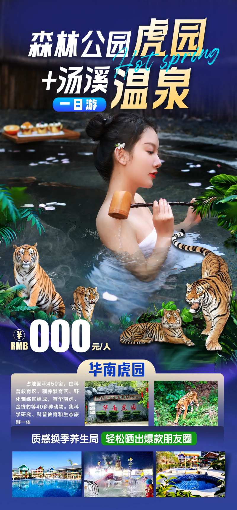 动物园泡温泉一日游旅游海报-采灵感-cailinggan.com