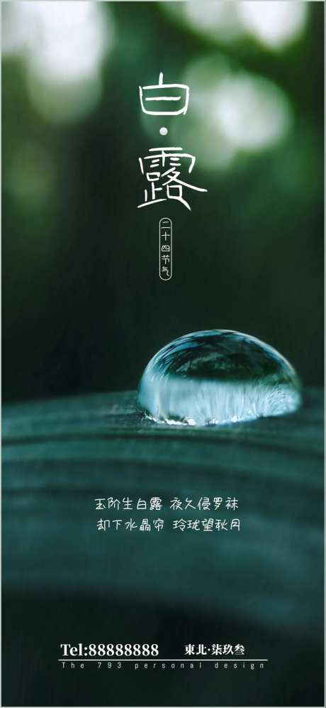白露节气移动端海报-采灵感-cailinggan.com
