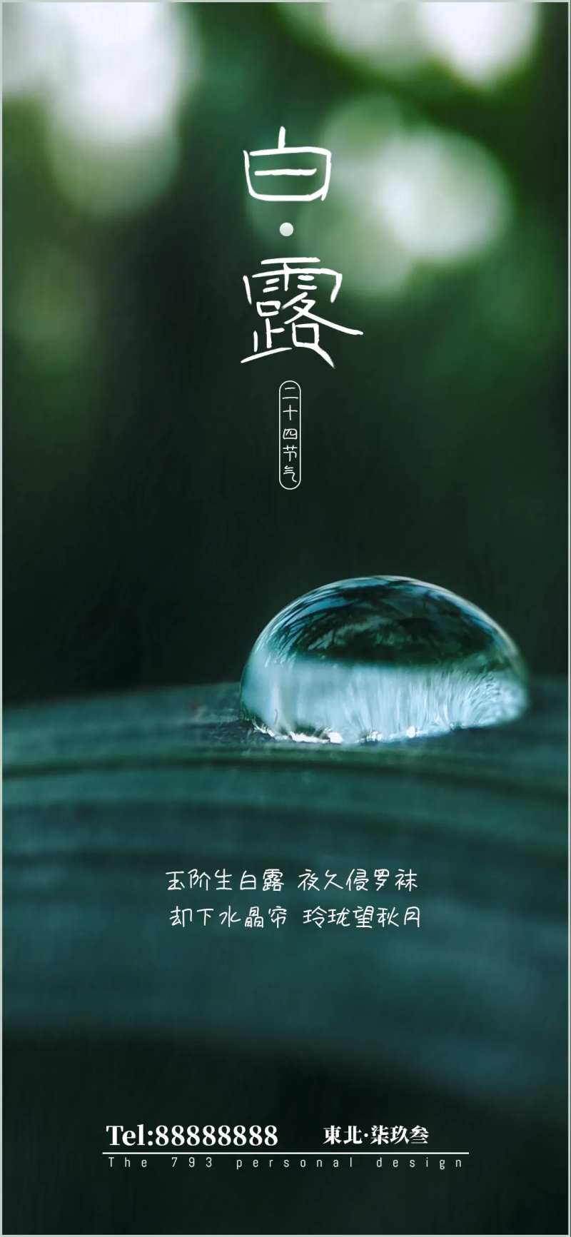 白露节气移动端海报-采灵感-cailinggan.com