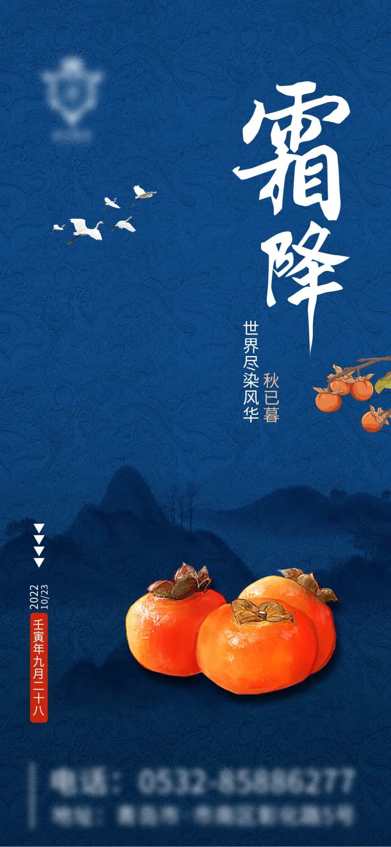 霜降柿子节气海报-采灵感-cailinggan.com