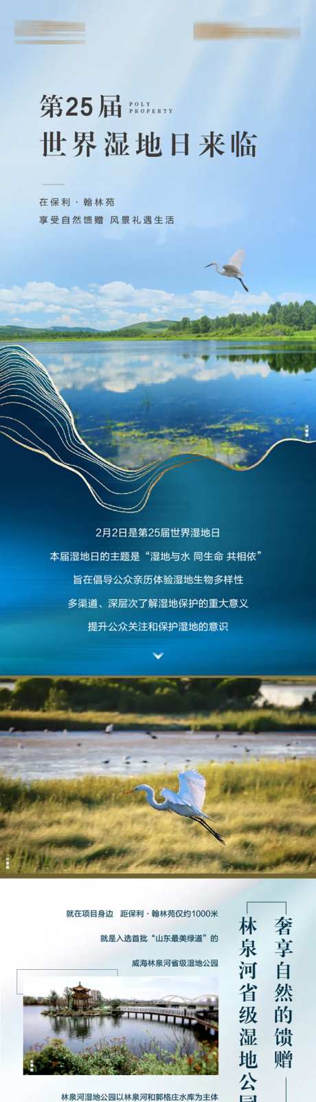 地产湿地环境价值点长图-采灵感-https://www.cailinggan.com/