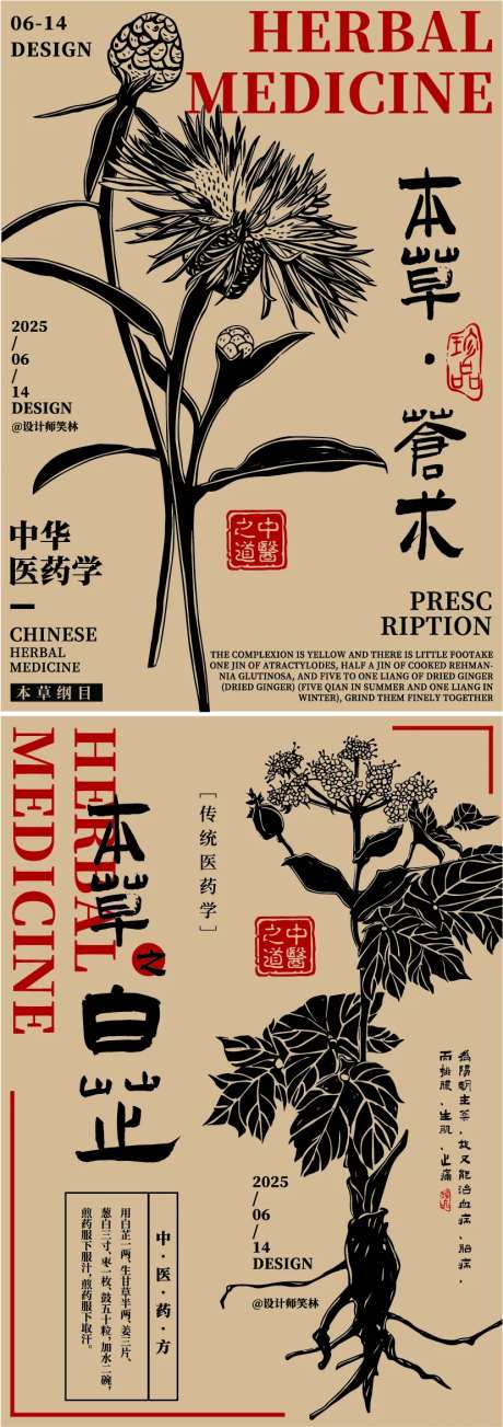 中草药手绘插画海报-采灵感-https://www.cailinggan.com/