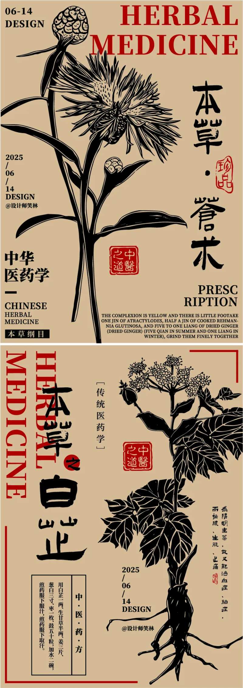 中草药手绘插画海报-采灵感-cailinggan.com