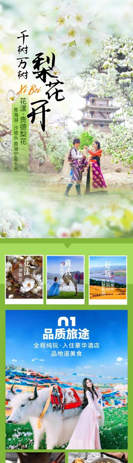 西北青海湖宁夏赏梨花旅游详情页长图-采灵感-https://www.cailinggan.com/