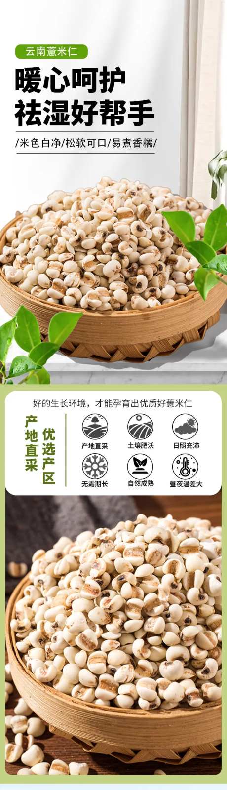 薏米仁详情页-采灵感-https://www.cailinggan.com/