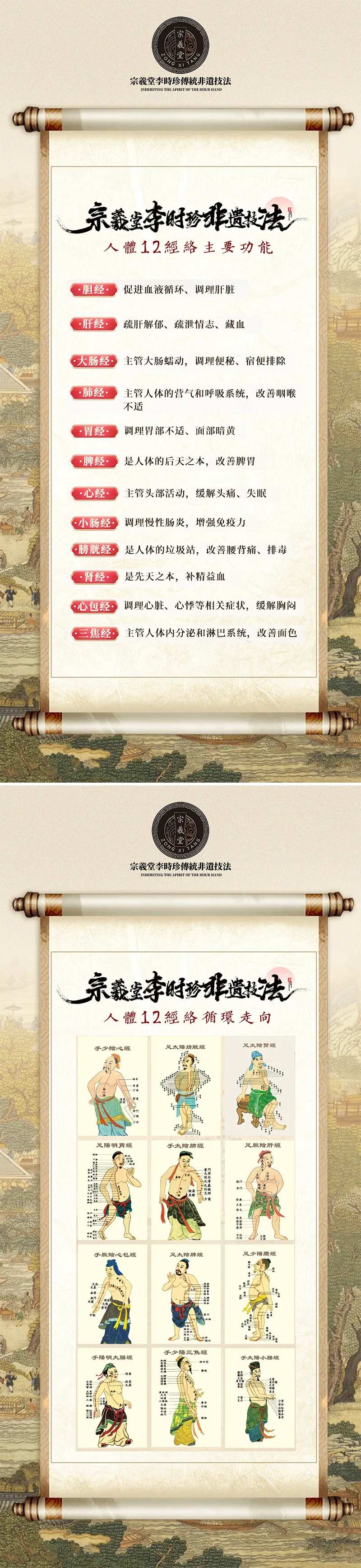 中医12条经络海报-采灵感-cailinggan.com