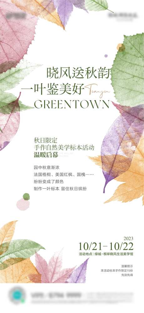 房地产植物标本活动-采灵感-https://www.cailinggan.com/