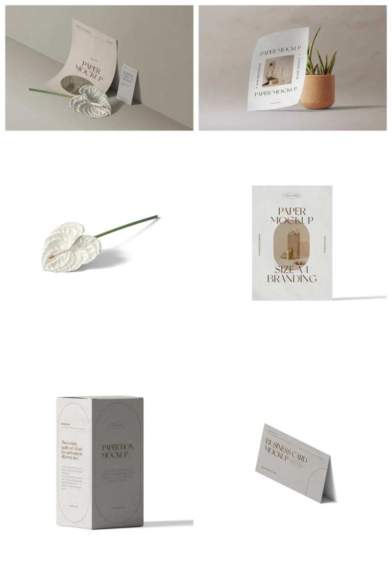 包装纸袋子样机-采灵感-cailinggan.com