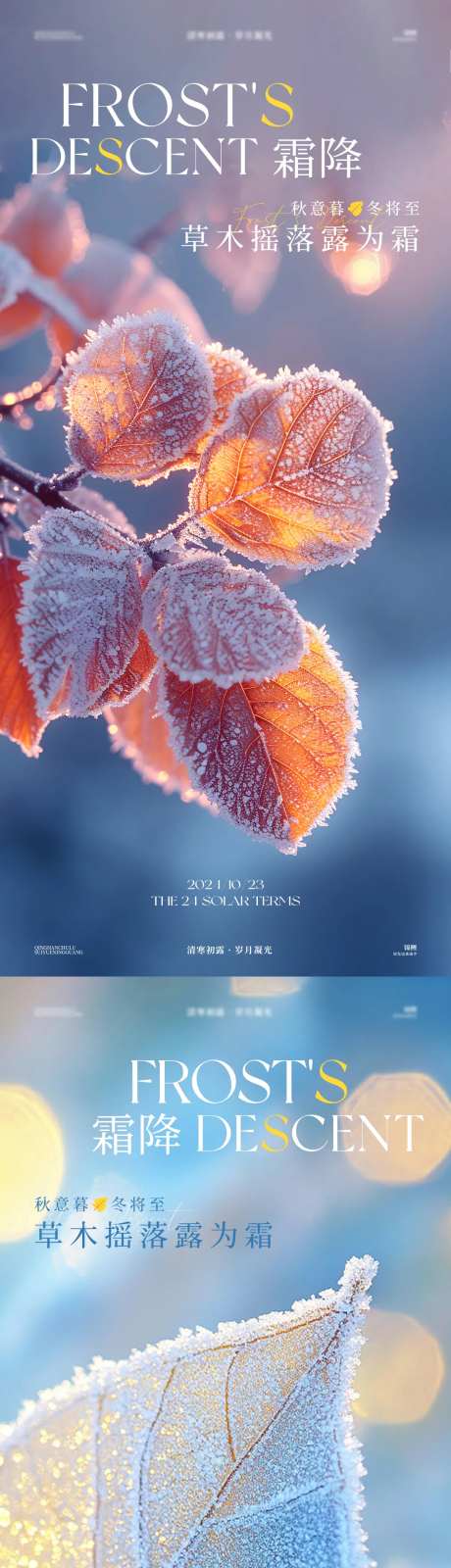 霜降树叶挂霜海报-采灵感-https://www.cailinggan.com/