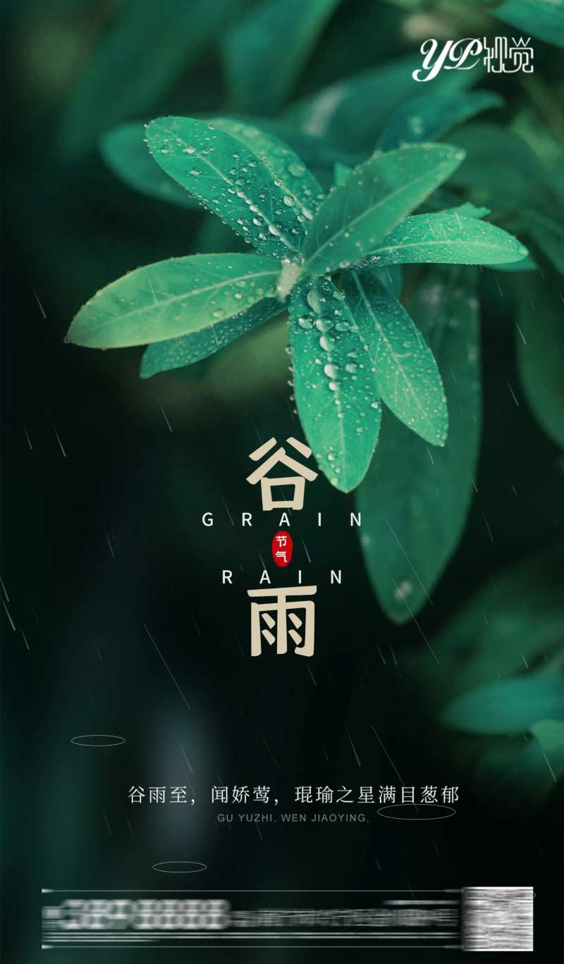 谷雨节气海报-采灵感-cailinggan.com