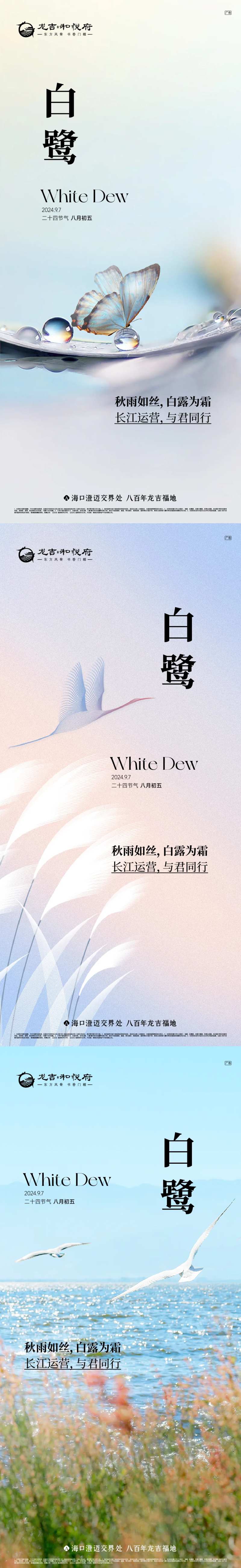 白鹭节气海报-采灵感-cailinggan.com