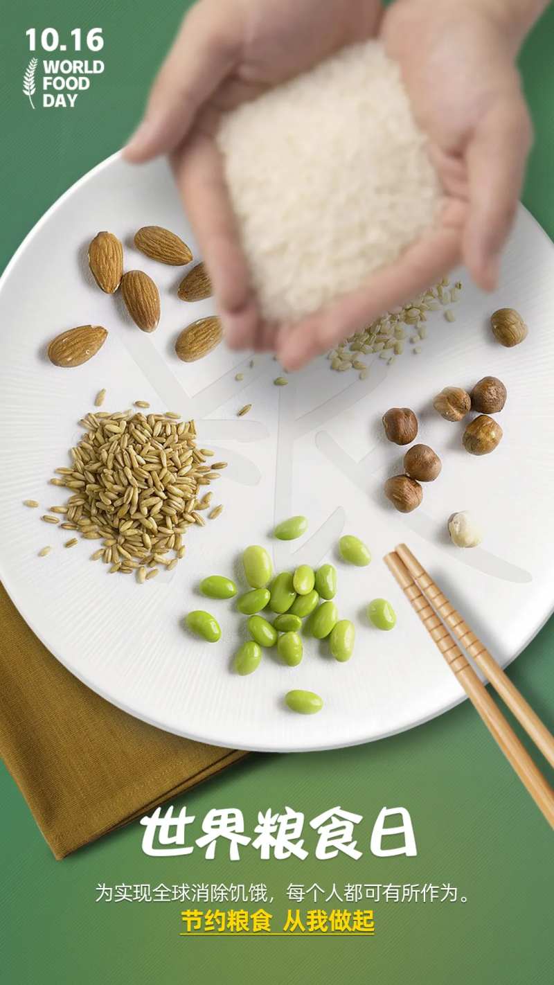 世界粮食日节约食物大米海报-采灵感-cailinggan.com