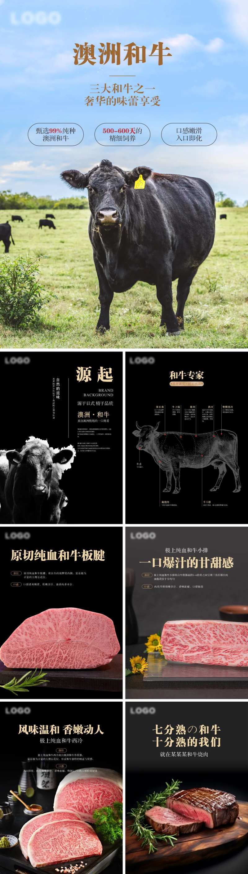 澳洲和牛宣传海报-采灵感-cailinggan.com