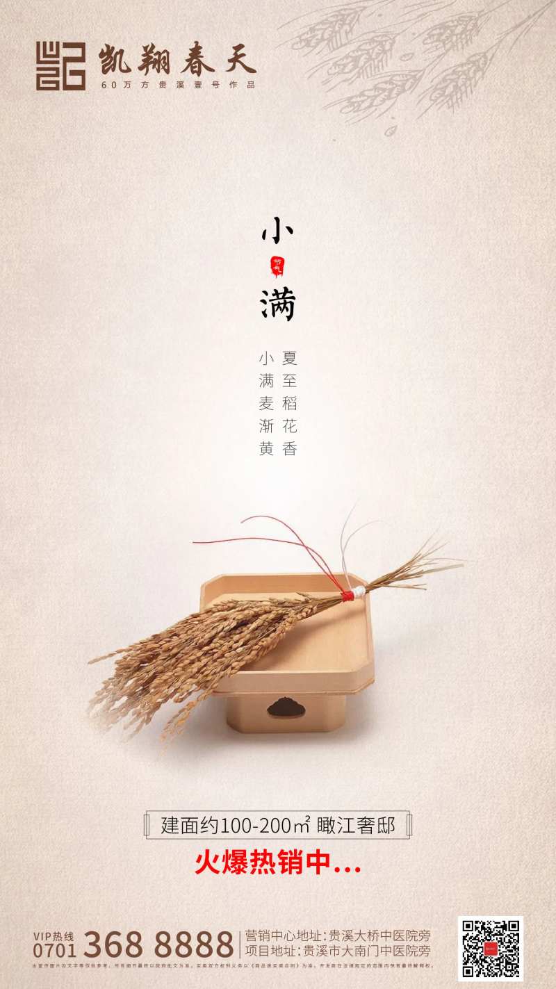 小满节气稻谷移动端海报-采灵感-cailinggan.com