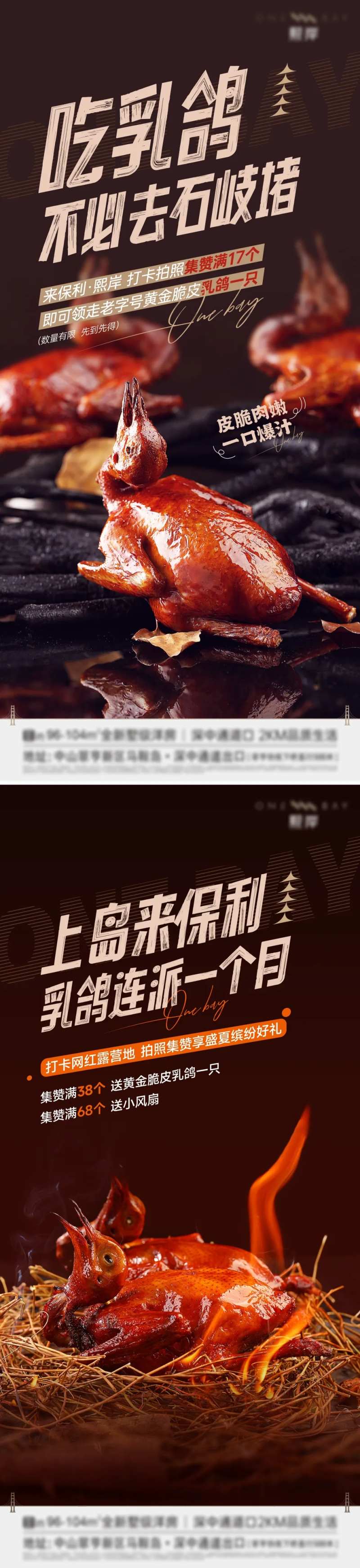 美食烤乳鸽系列-采灵感-cailinggan.com