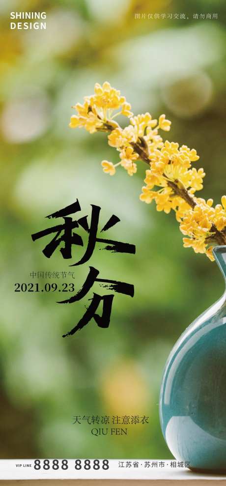 秋分节气海报-采灵感-cailinggan.com