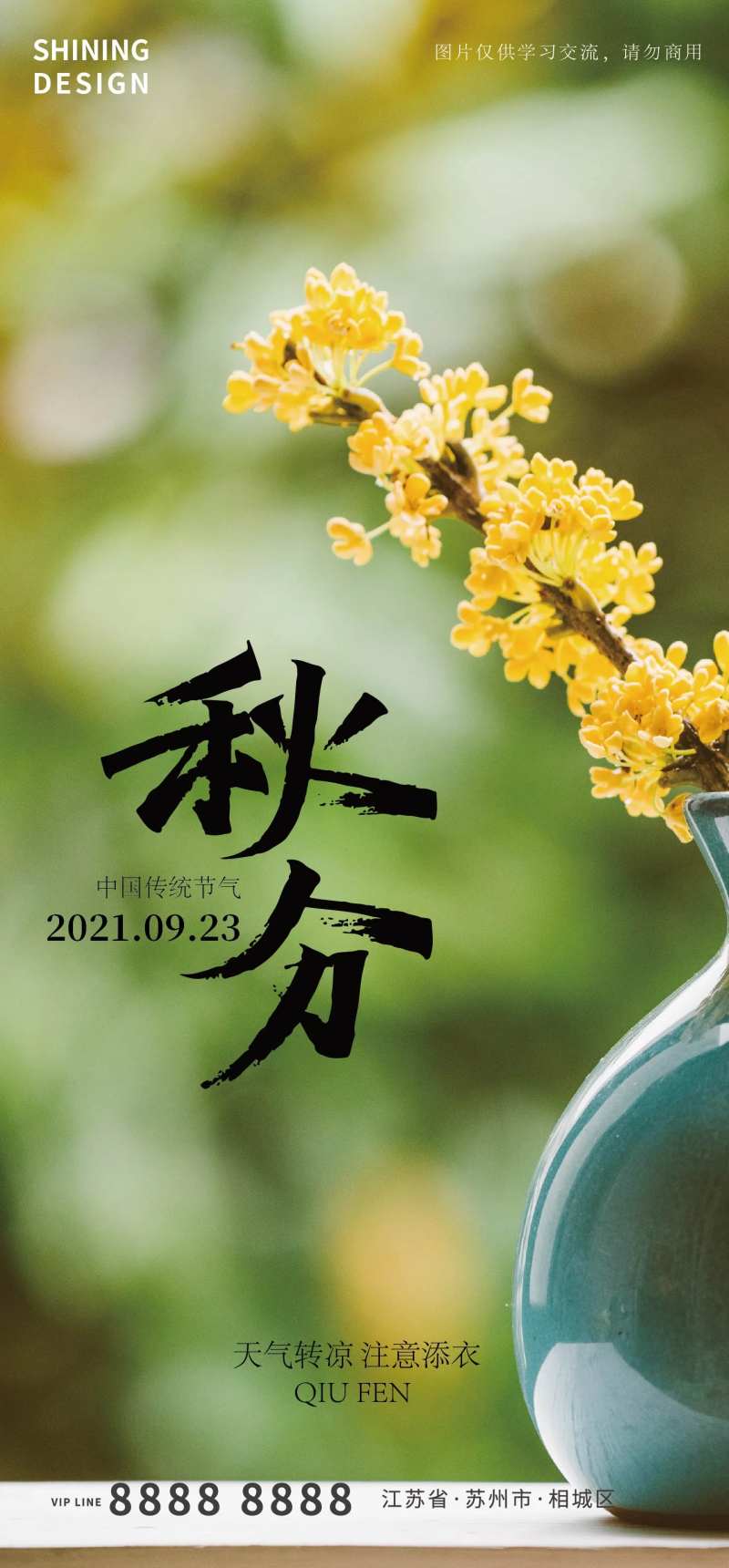 秋分节气海报-采灵感-cailinggan.com