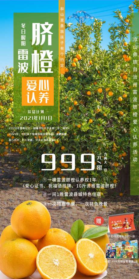 雷波脐橙爱心认养海报-采灵感-https://www.cailinggan.com/