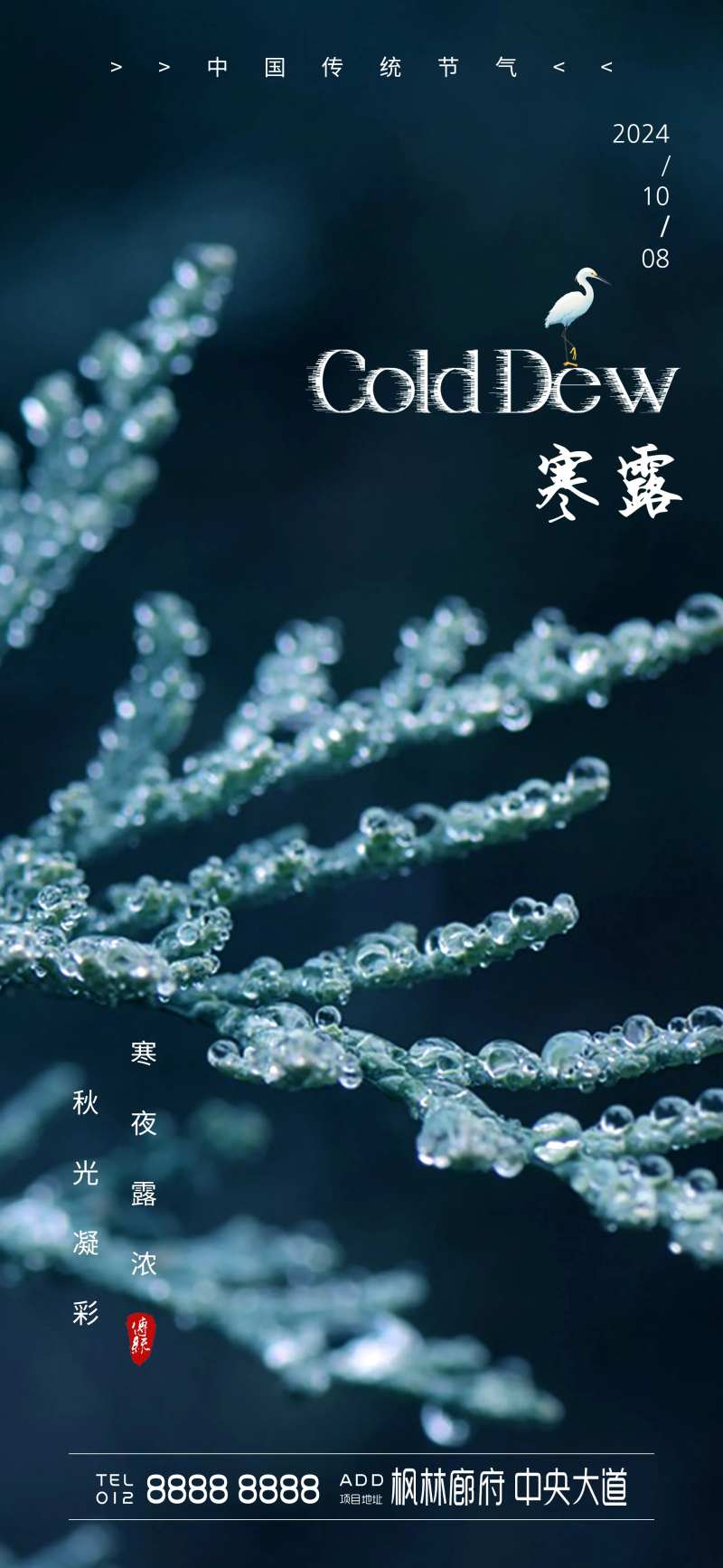 寒露传统节气海报-采灵感-cailinggan.com