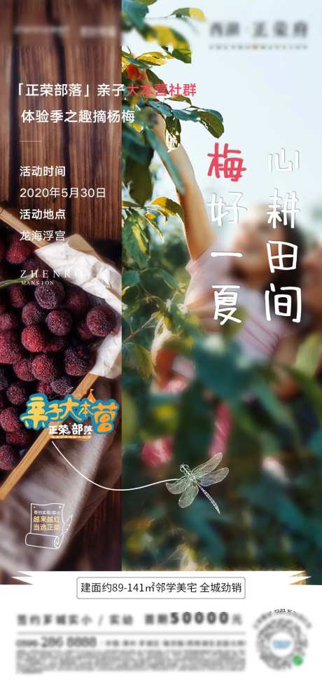地产杨梅采摘活动预告海报-采灵感-https://www.cailinggan.com/
