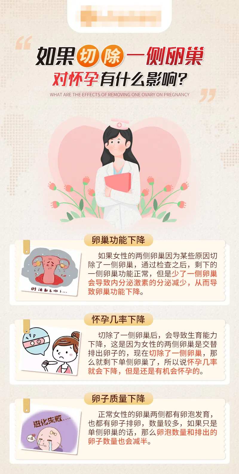 如果切除一侧卵巢对怀孕有什么影响-采灵感-cailinggan.com