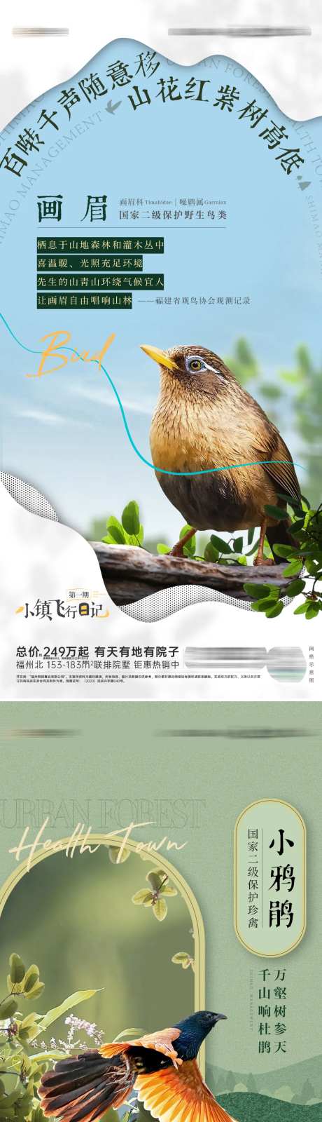 鸟类观测科普海报-采灵感-https://www.cailinggan.com/
