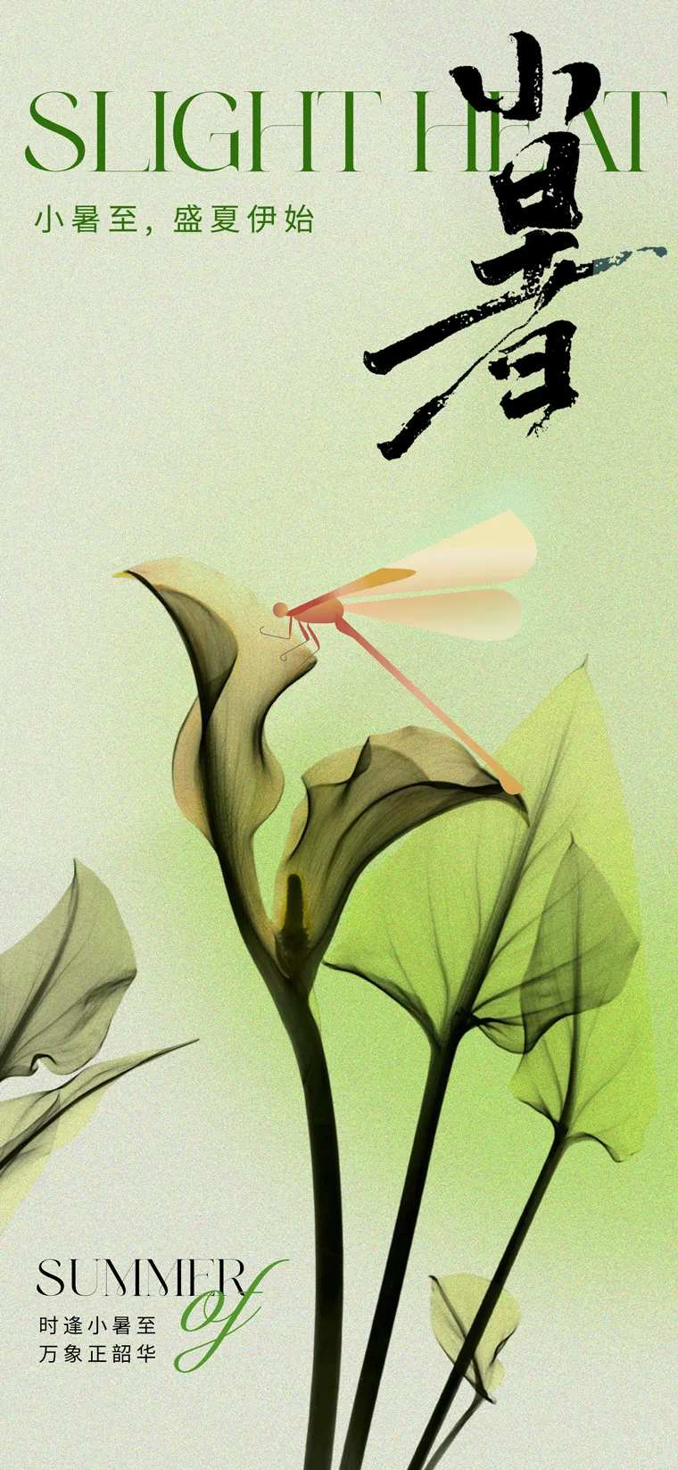 高级质感小暑节气海报-采灵感-cailinggan.com
