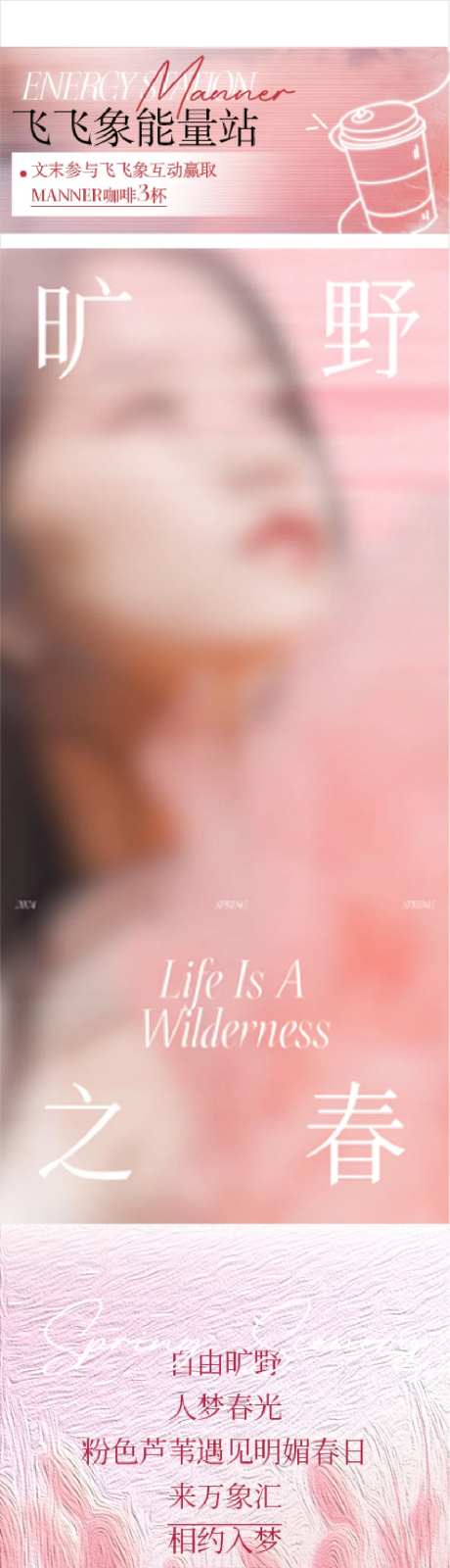 粉色芦苇优雅商场长图文-采灵感-https://www.cailinggan.com/