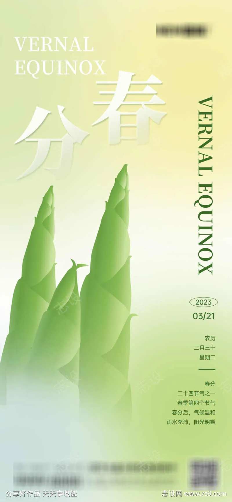 春分节气春笋春天地产海报-采灵感-cailinggan.com