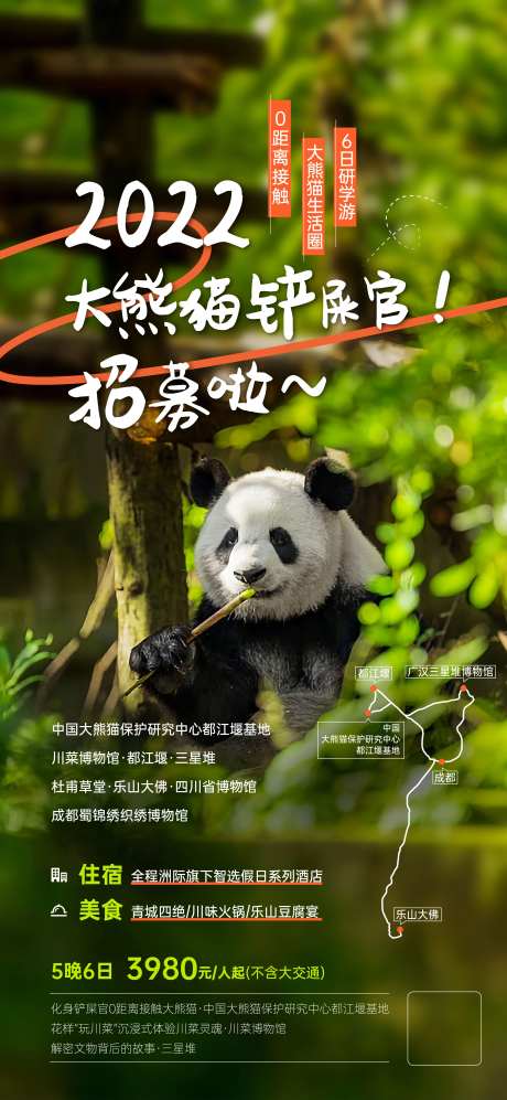 成都大熊猫招募海报-采灵感-https://www.cailinggan.com/
