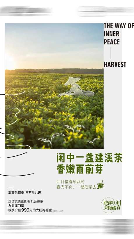 地产文旅采茶生活美好微单-采灵感-https://www.cailinggan.com/